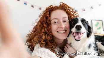 Warning for any dog owners who post their pets on social media
