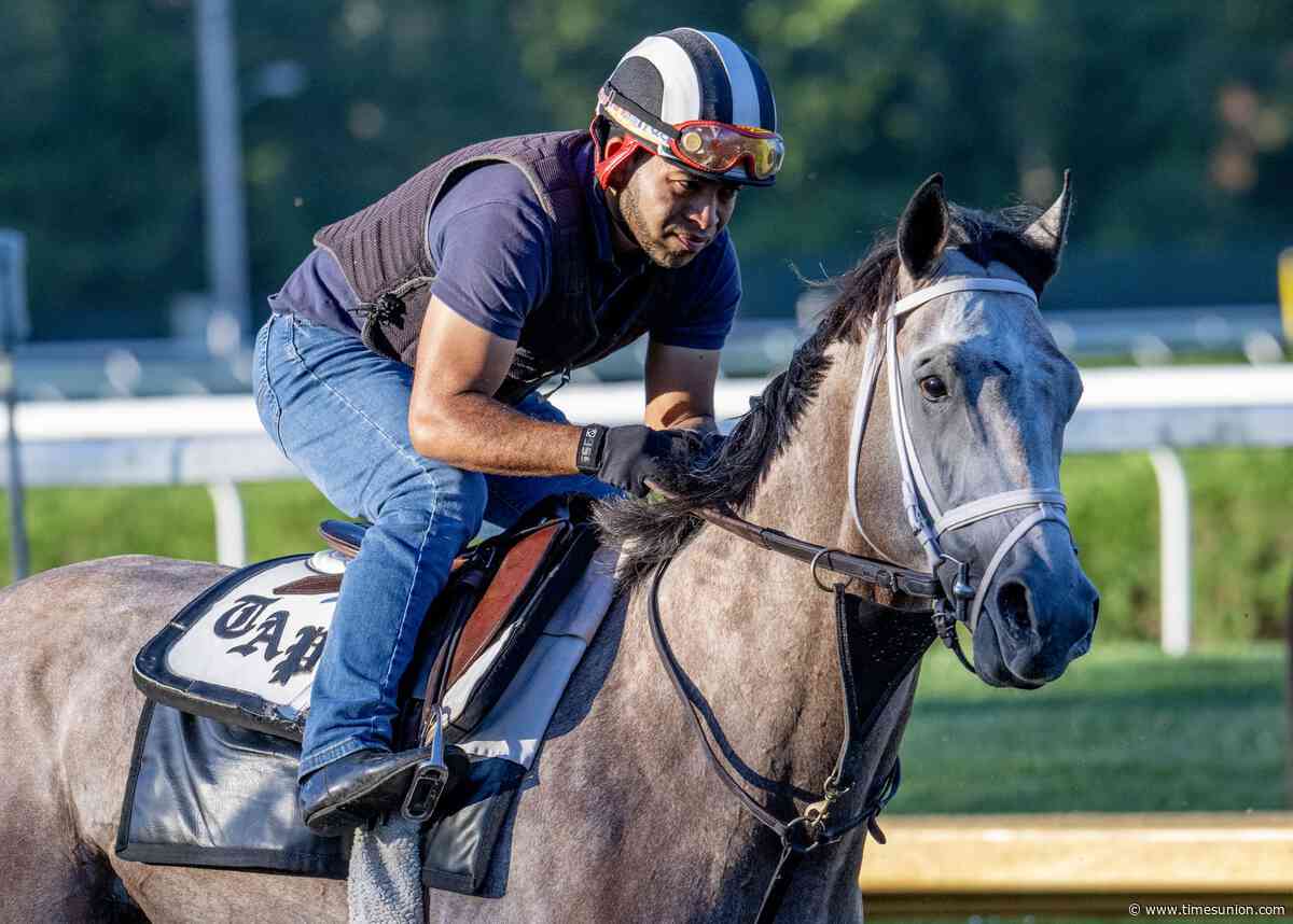 The best horse missing from the Travers? Meet Ted Noffey, whose 3-year-old season has yet to begin.