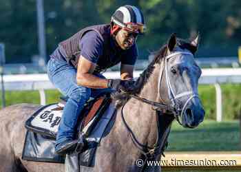 The best horse missing from the Travers? Meet Ted Noffey, whose 3-year-old season has yet to begin.