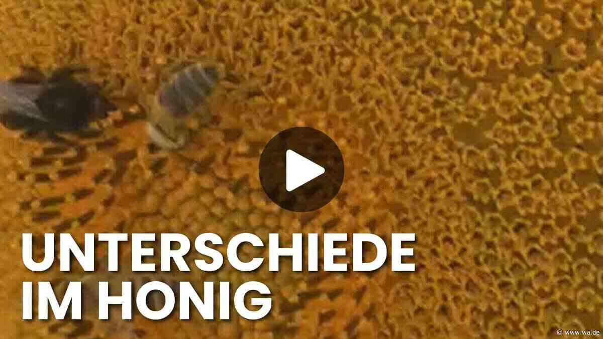 Bienen sterben, Honig wird gepanscht: Was ein Imker-Ehepaar aus Bayern jetzt aufdeckt