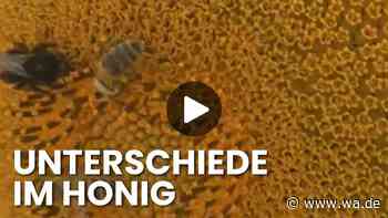 Bienen sterben, Honig wird gepanscht: Was ein Imker-Ehepaar aus Bayern jetzt aufdeckt
