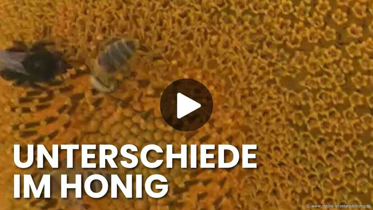 Bienen sterben, Honig wird gepanscht: Was ein Imker-Ehepaar aus Bayern jetzt aufdeckt