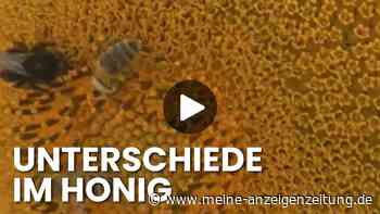 Bienen sterben, Honig wird gepanscht: Was ein Imker-Ehepaar aus Bayern jetzt aufdeckt