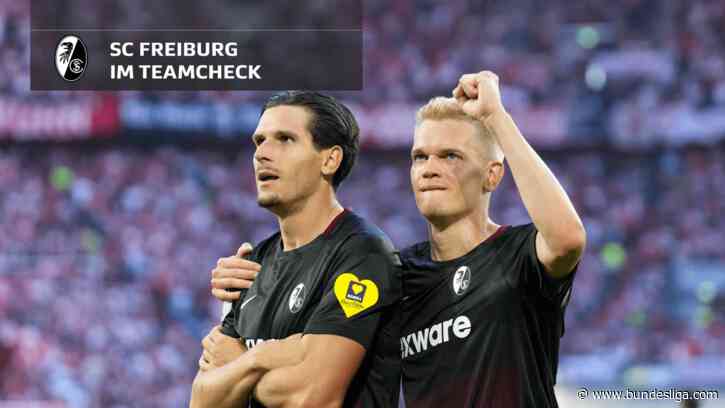 Teamcheck Sport-Club Freiburg: Geht es weiter bergauf?