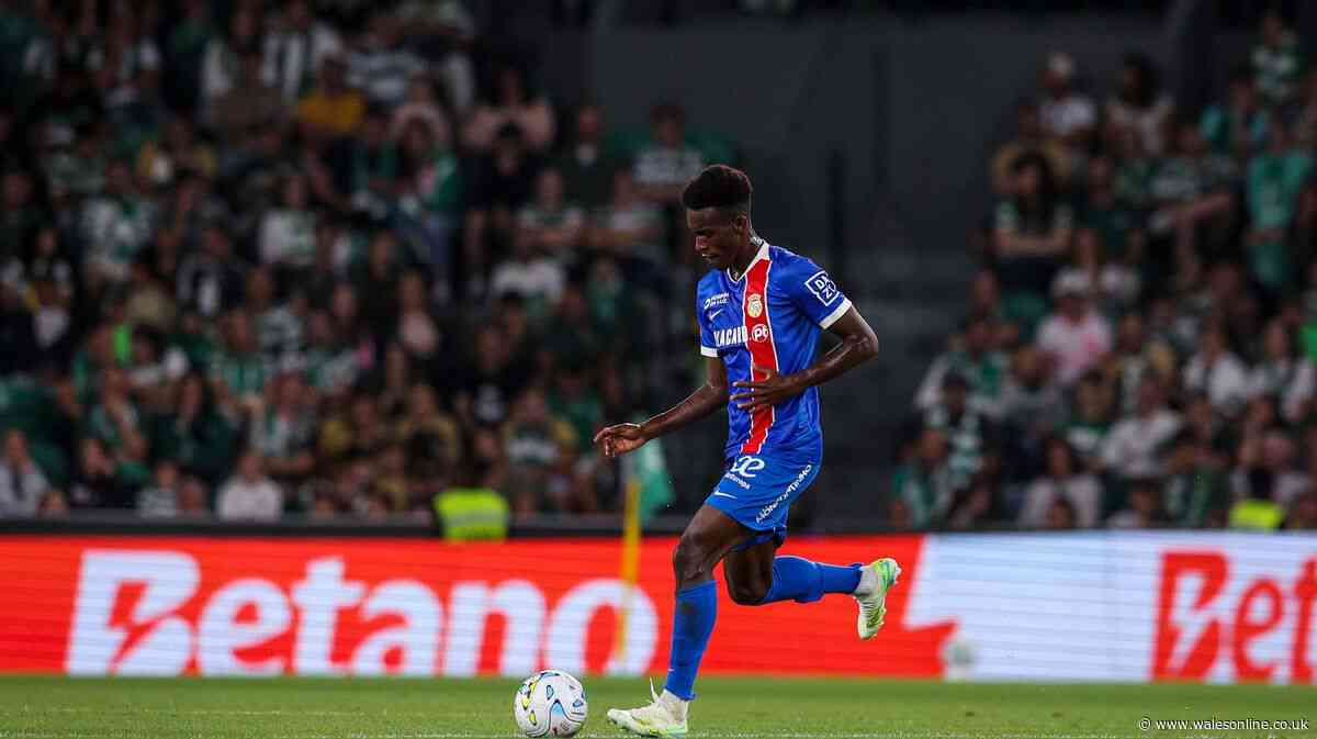 Swansea City transfer notebook: Midfielder search steps up and Vipotnik future takes turn