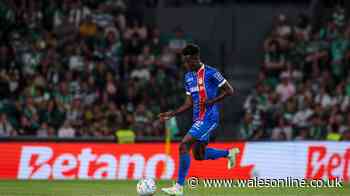 Swansea City transfer notebook: Midfielder search steps up and Vipotnik future takes turn