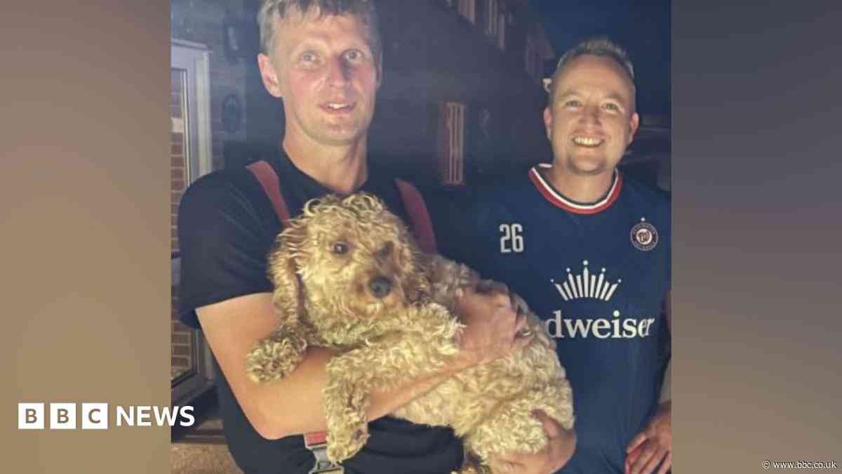 Dog rescued after getting head stuck in breeze-block