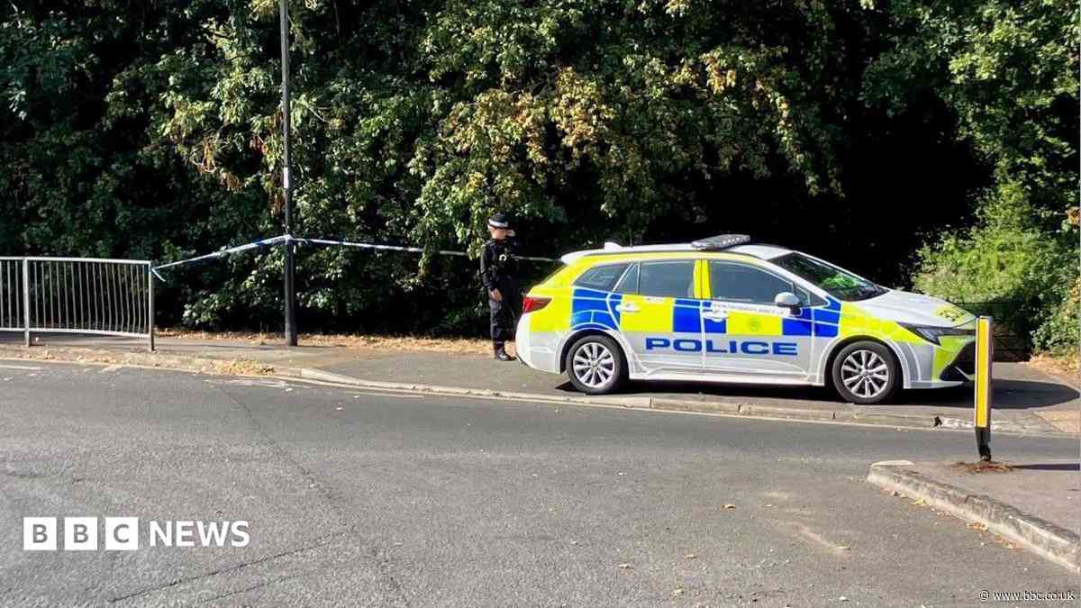 Man bailed over rape of girl,14, in wooded area