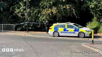 Man bailed over rape of girl,14, in wooded area