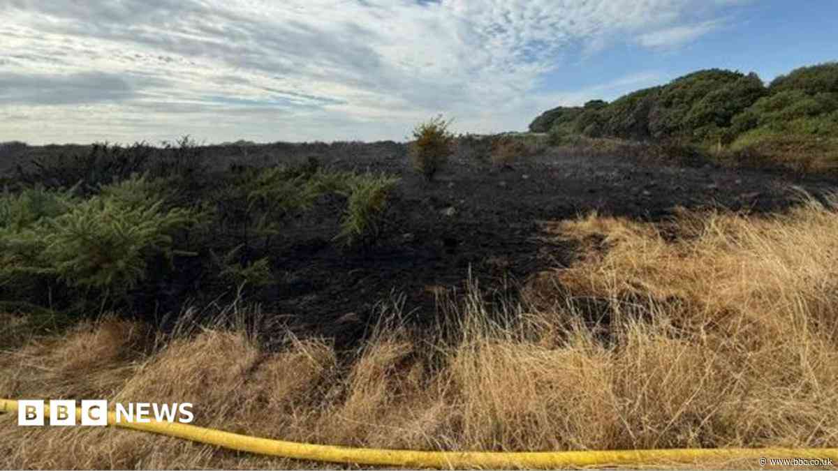 Coastal wildfire believed to be set deliberately