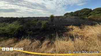 Coastal wildfire believed to be set deliberately