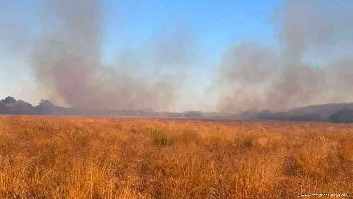 Firefighters share cause of Hampton nature reserve fire which closed road for six hours