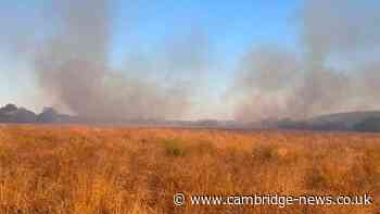 Firefighters share cause of Hampton nature reserve fire which closed road for six hours