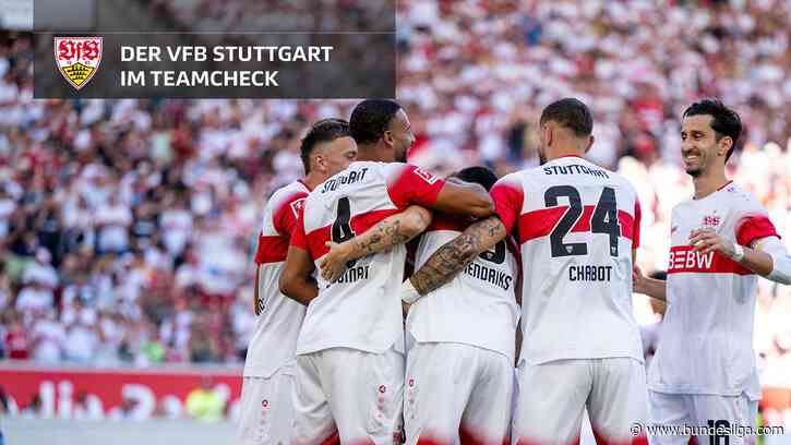 Teamcheck VfB Stuttgart: Der letzte Schritt Richtung Spitzenteam?