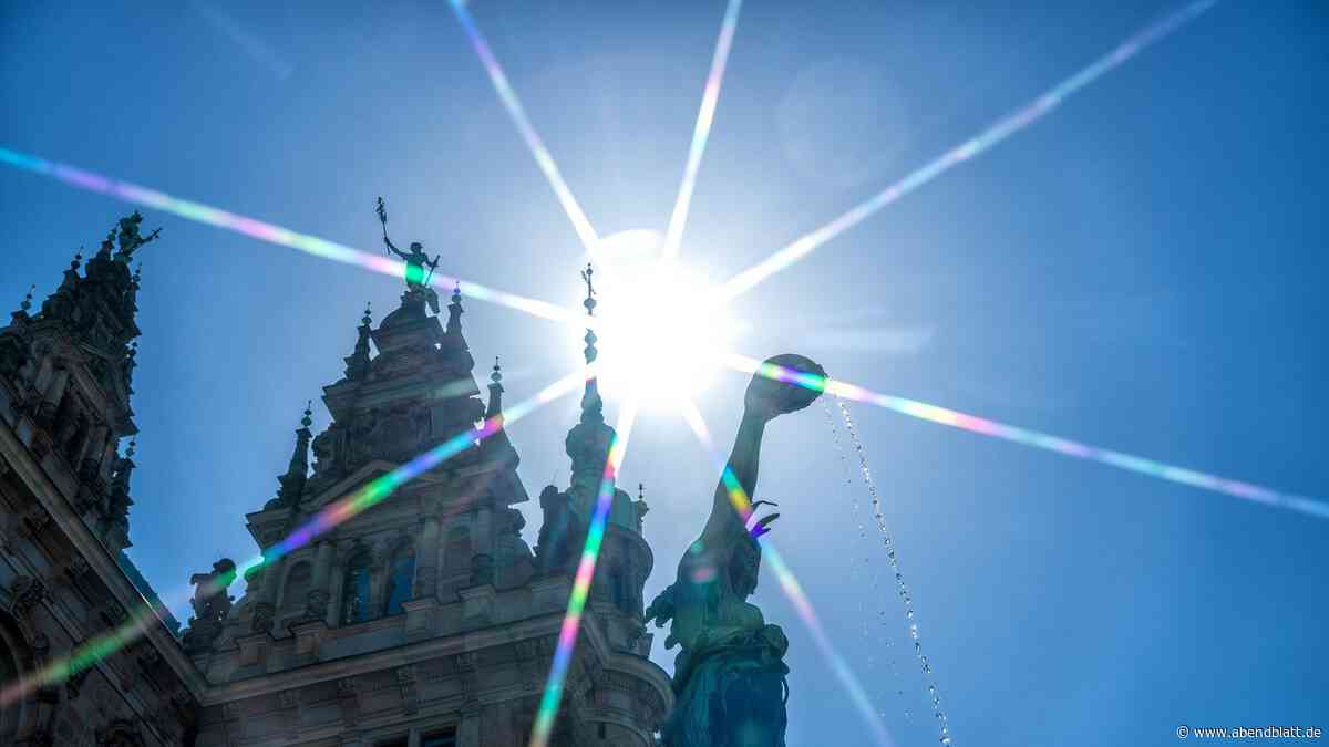 Strafanzeige gegen Tschentscher und Fegebank: Rentner nimmt es mit dem Senat auf