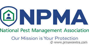 Summer's Not Clocking Out Yet: Warmer Fall Forecast Could Extend Pest Activity Across the U.S.