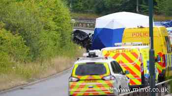 The AA warned authorities over wrong-way motorway social media trend last year