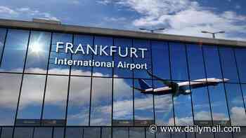 German airport worker dies of malaria and five others in hospital after 'mosquito arrives on plane' as traps set up amid rare outbreak