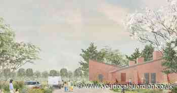 Scrutiny of Vine Road Recreation Ground development plans