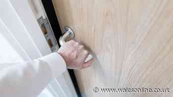 Stop doors creaking using 1 common kitchen sink item most people own