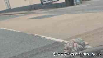 'The smell of death' - Halifax road left smeared in 'sicky-pink' animal entrails