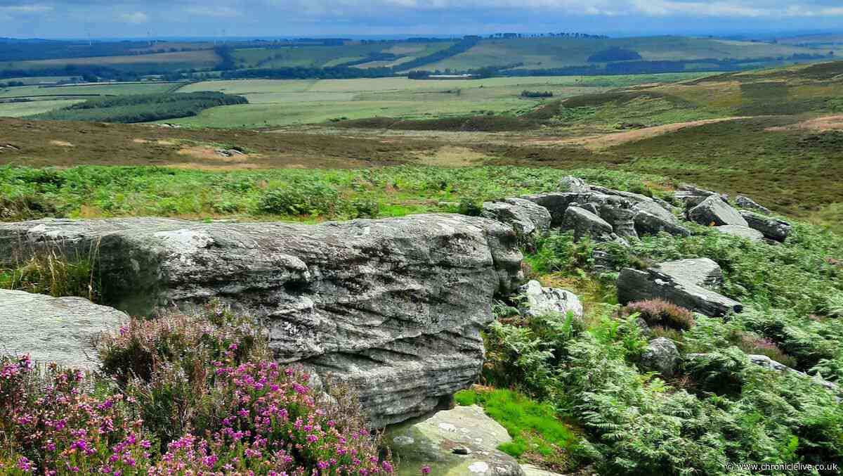 Rothbury Estate purchase within 'touching distance' after huge donations in last fortnight