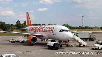Full list of easyJet airports that don't accept mobile boarding passes
