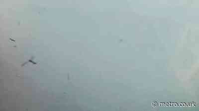 Firefighters reveal what caused Stourbridge wildfires that nearly destroyed town