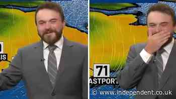 Meteorologist bursts into uncontrollable giggles during live broadcast