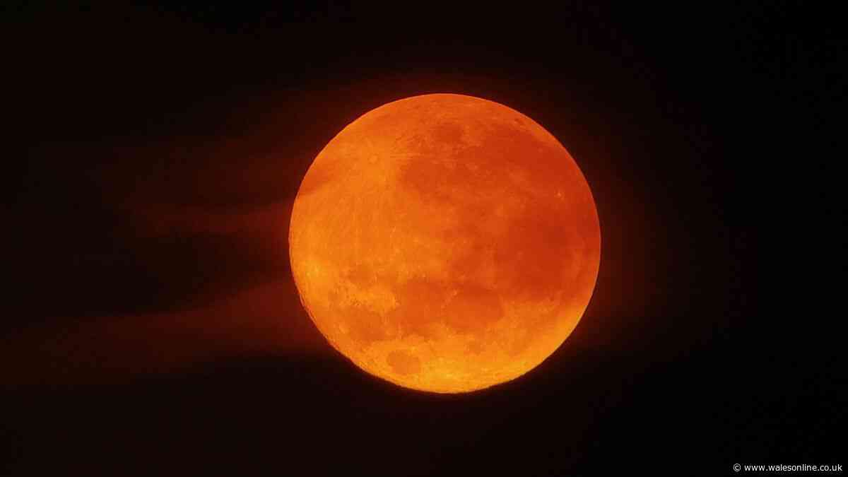 Met Office reveals 'best time' to witness Blood Moon on Friday August 28