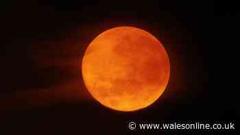 Met Office reveals 'best time' to witness Blood Moon on Friday August 28