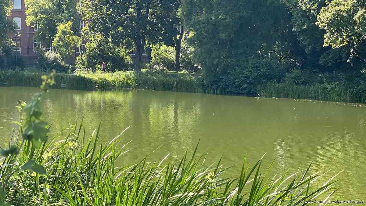 Wasserqualität vom Stadtgraben schlecht: Technik soll Umkippen verhindern