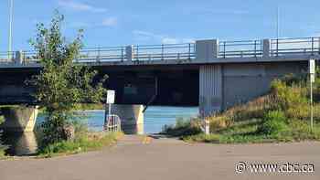 Southeast Calgary bridge replacement moves forward as city calls for public input