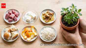 Kitchen waste you should never put in plant pots: 6 scraps that attract pests