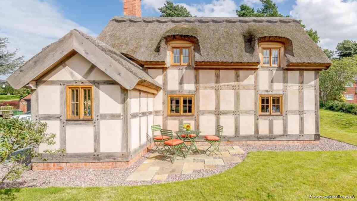 'Beautiful' 17th-century thatched cottage in peaceful hamlet overlooking the Mere