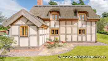 'Beautiful' 17th-century thatched cottage in peaceful hamlet overlooking the Mere