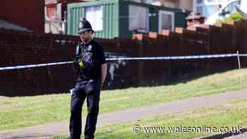 Man denies murdering 'well-loved' grandad