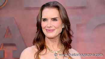 Brooke Shields abruptly deletes stunning swimsuit-clad photos after devastating news