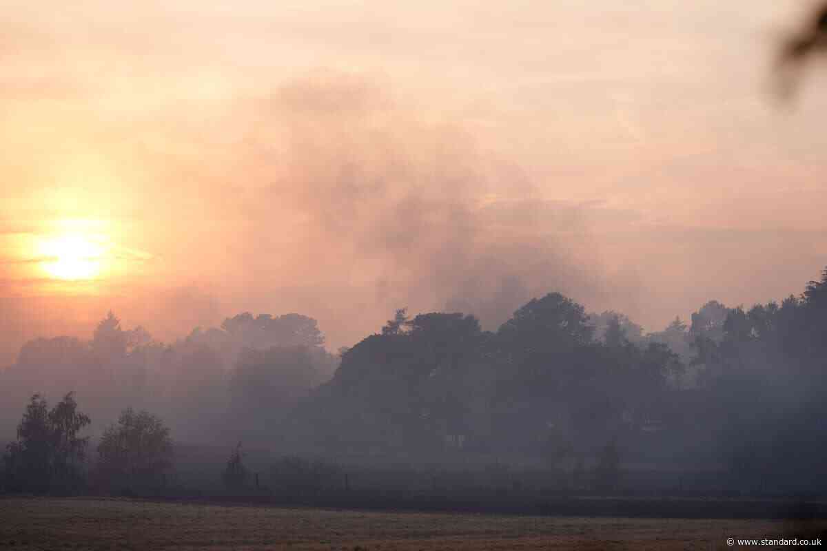 Fires that destroyed 19 homes in Stourbridge started accidentally – fire service