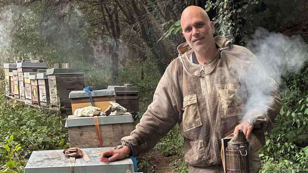 25 Völker an vier Standorten: Er wacht über 50.000 Bienen – Hornisse macht ihm größte Sorge