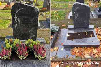 Angehörige in Freiberg erschüttert: Auf dem Friedhof wird so viel gemaust wie noch nie