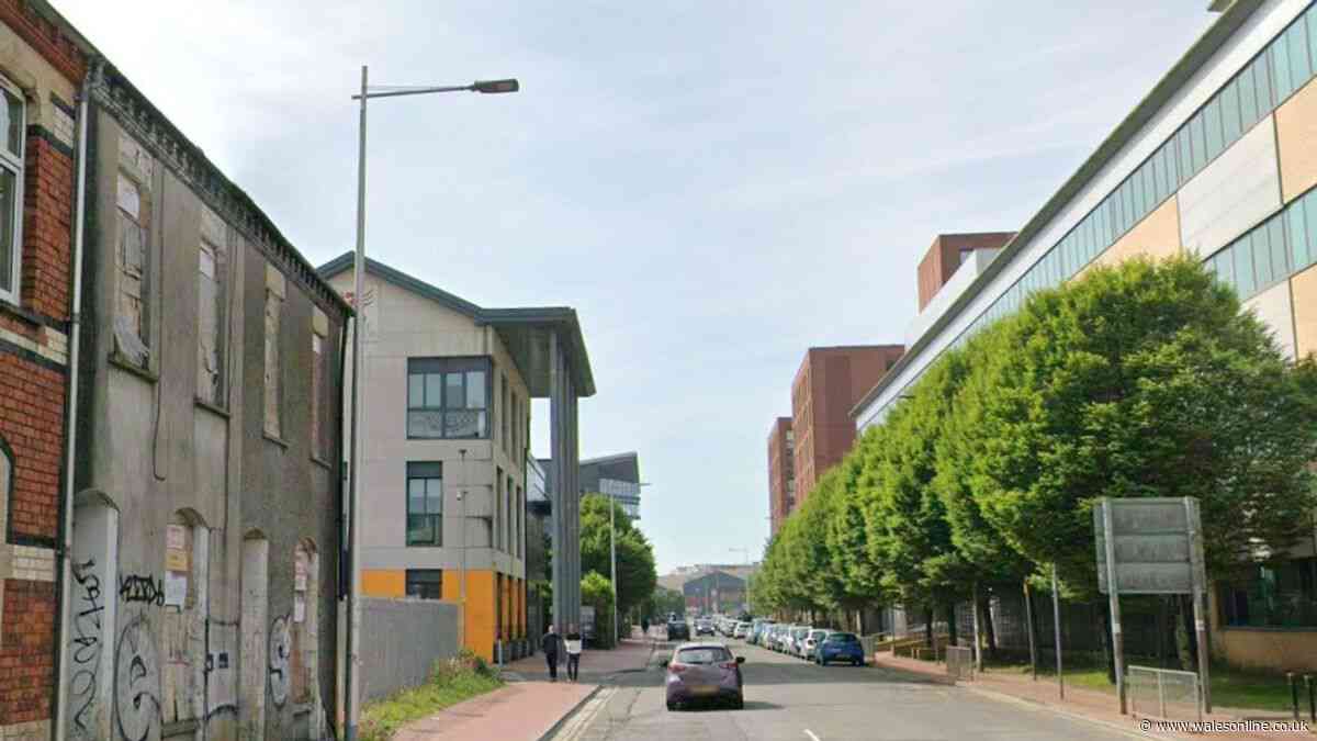 Man taken to hospital following disturbance on Butetown street