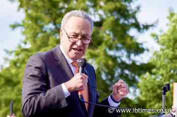 Supreme Court Mail Ballot Ruling: Senator Chuck Schumer Calls Decision a 'Dagger Into the Heart'