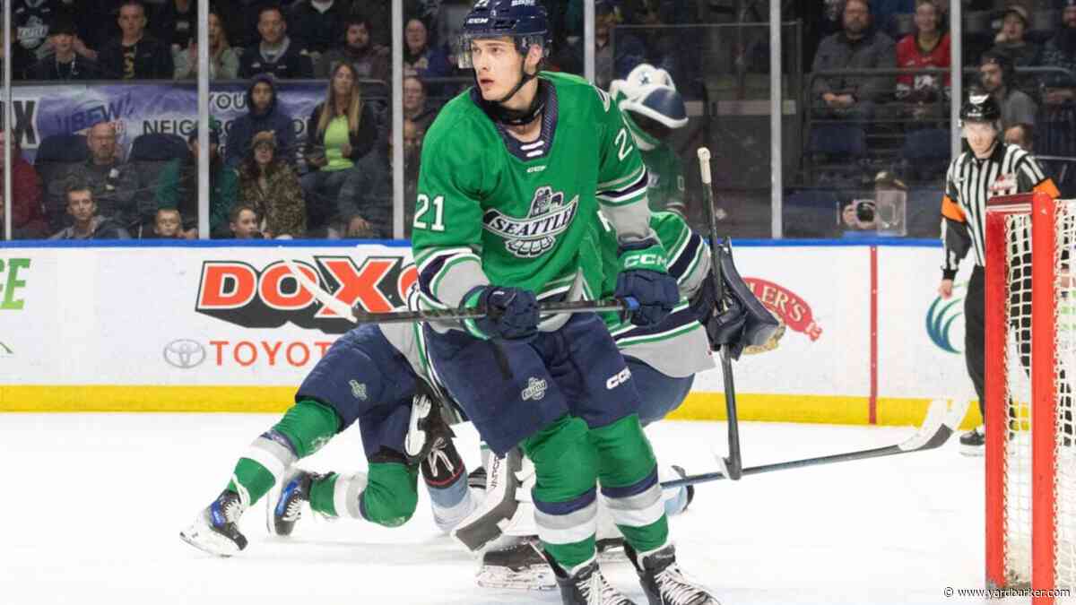 Sabres’ Prospects Facing Important Developmental Season