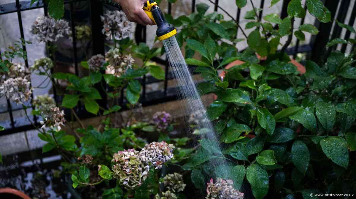 Bristol Water hosepipe ban - all you need to know