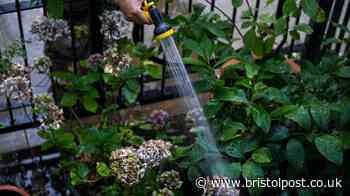 Bristol Water hosepipe ban - all you need to know