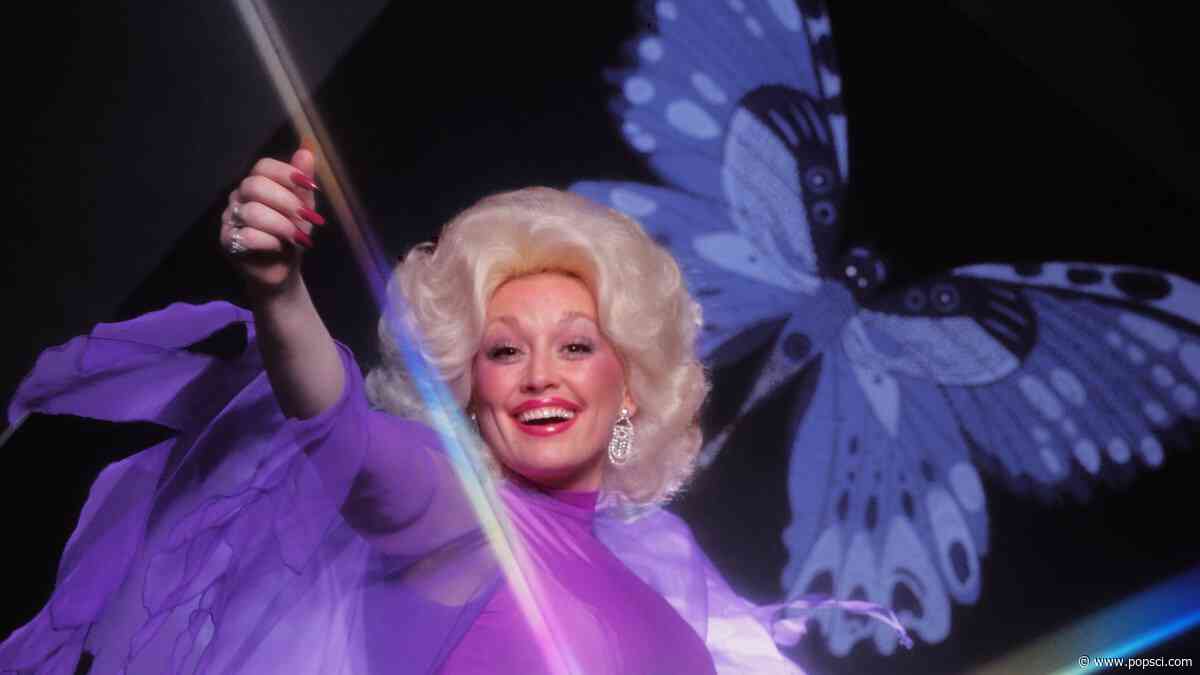 Butterfly wing crystals inspire new eco-friendly glitter