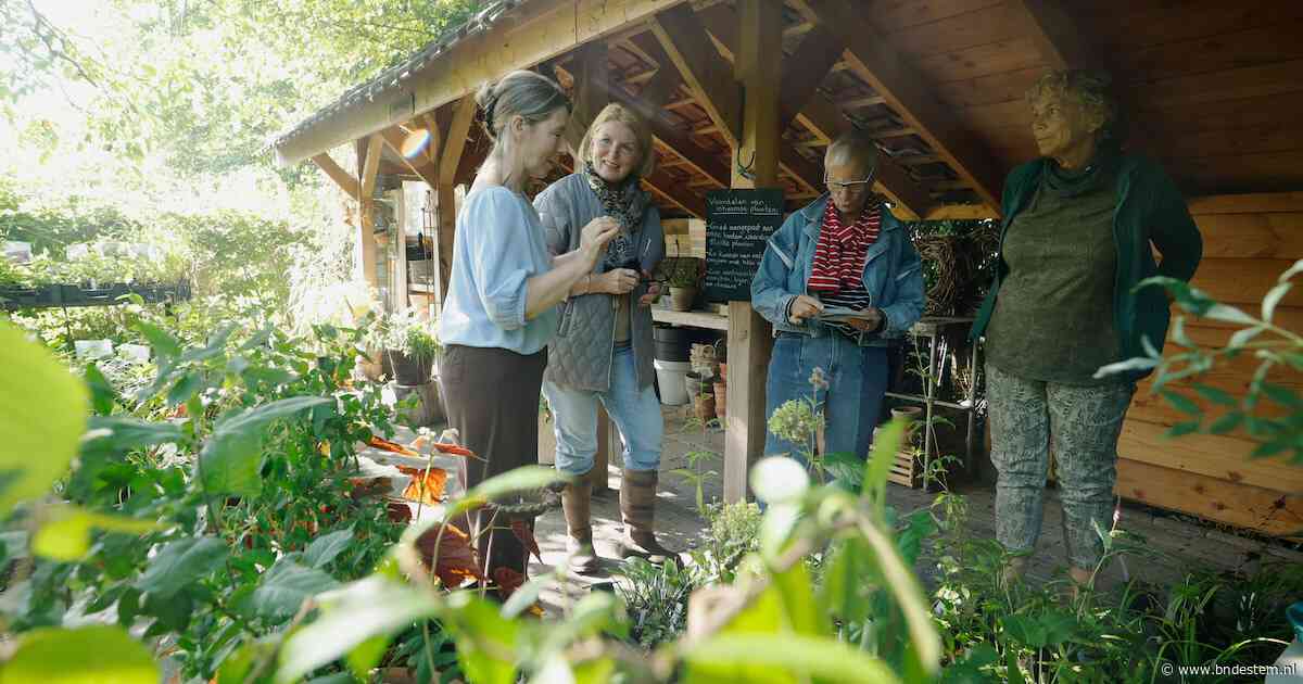 Van braakliggend stuk grond naar bloeiende Slingertuin: Renate deelt haar liefde voor biologisch tuinieren