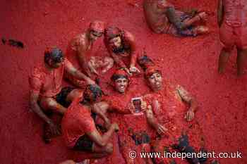 La Tomatina: More than 20,000 people paint Spanish town red with tomatoes