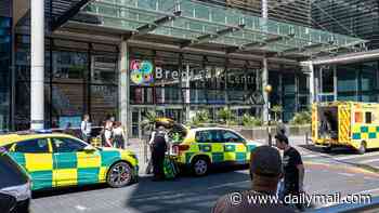 Boy, 15, arrested on suspicion of murder after teen, 17, stabbed outside council building near Wembley Stadium